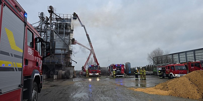 Pożar w suszarni. Strażacy walczyli z ogniem aż 15 godzin - 18399