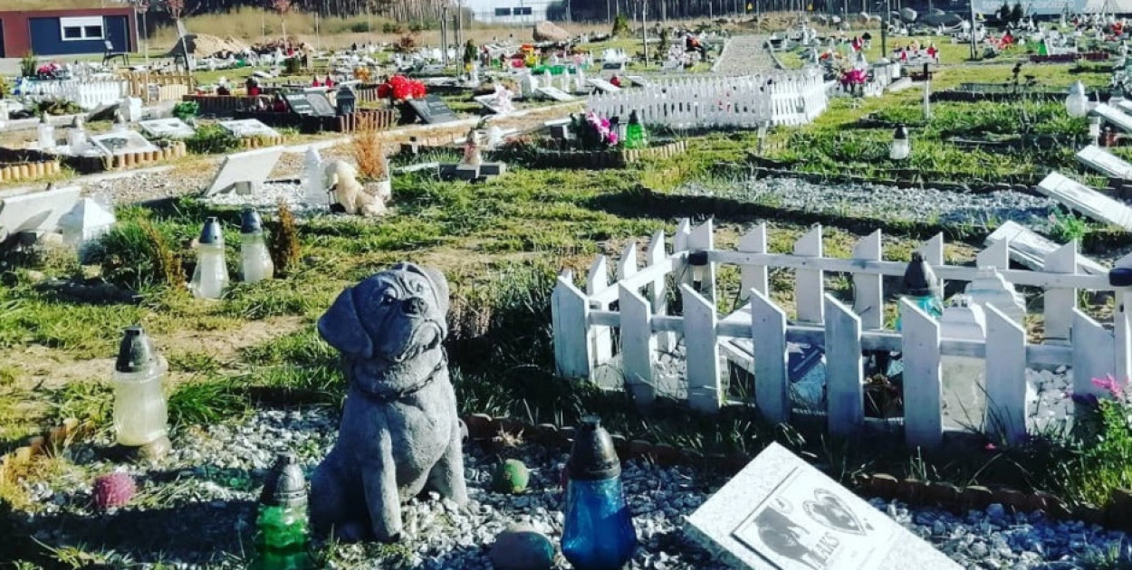 foto W KATOWICACH.EU