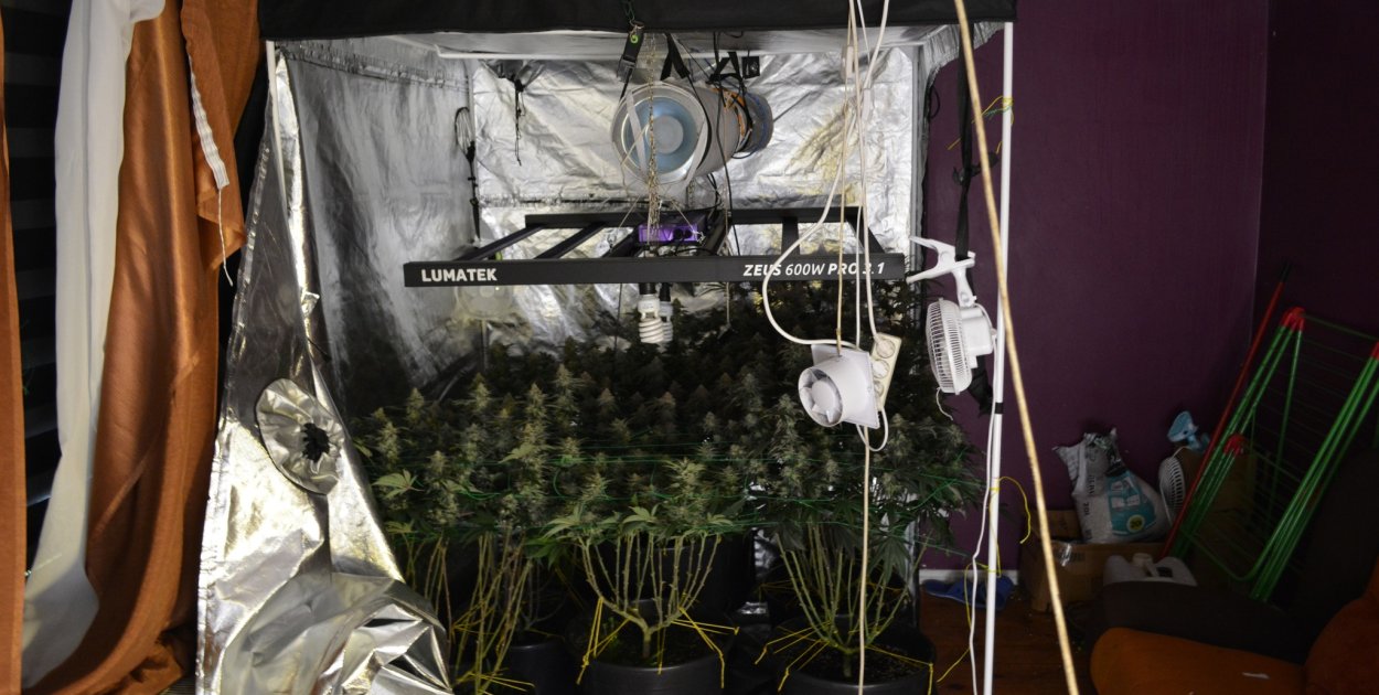 Lampy, system wentylacji i specjalistyczny sprzęt. Ale plany mężczyźnie pokrzyżowała policja