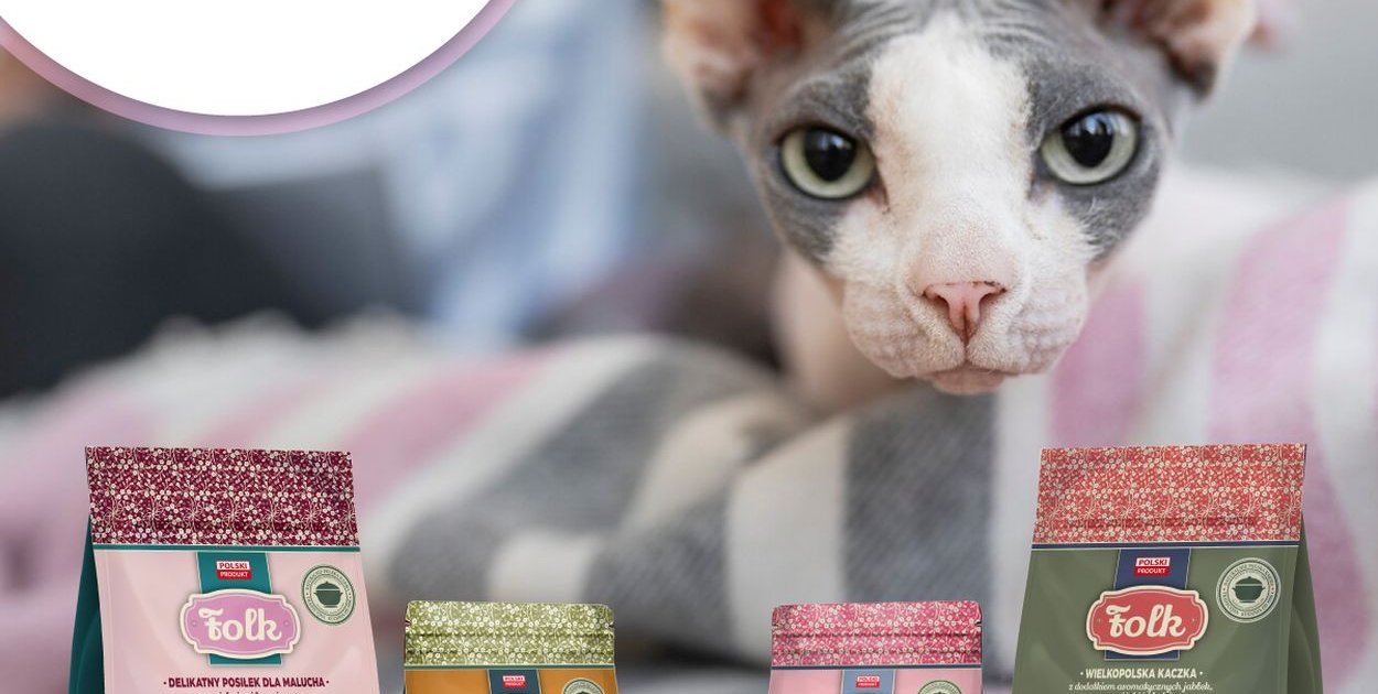 Najlepsze Karmy dla Kotów w Dino: Którą Wybrać? Ranking i Opinie [2026]