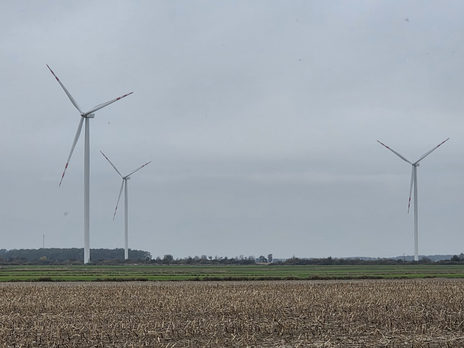 Szum emitowany przez wiatraki jest do zniesienia - uważają mieszkańcy